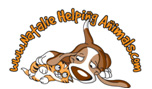 Natalie Helping Anials